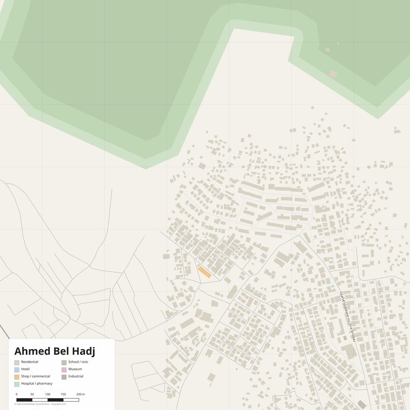 Ahmed Bel Hadj Map PDF — Printable Street Map Poster with House Numbers