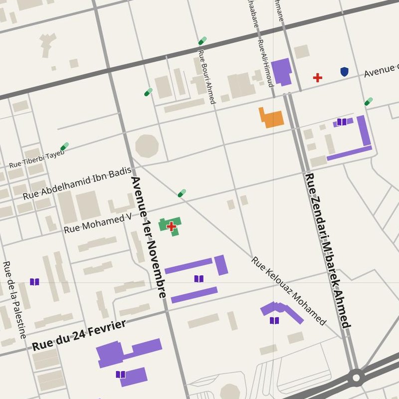 Aïn Defla map with house numbers, hospitals, police and fire stations — printable PDF, Algeria