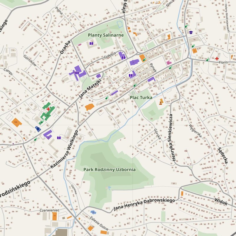 Bochnia map with house numbers, hospitals, police and fire stations — printable PDF, Poland