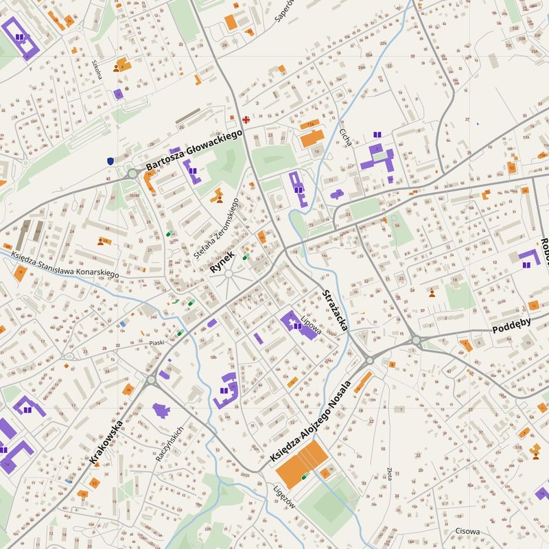 Dębica map with house numbers, hospitals, police and fire stations — printable PDF, Poland
