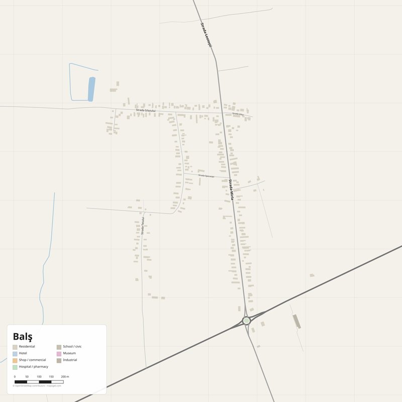 Balş Map PDF — Printable Street Map Poster with House Numbers