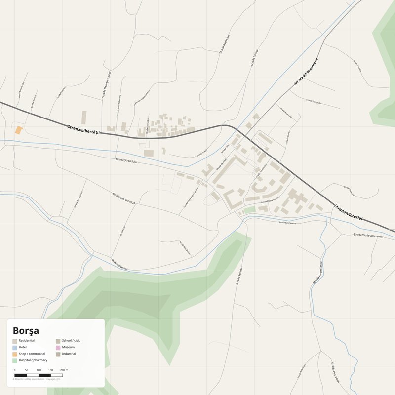 Borşa Map PDF — Printable Street Map Poster with House Numbers