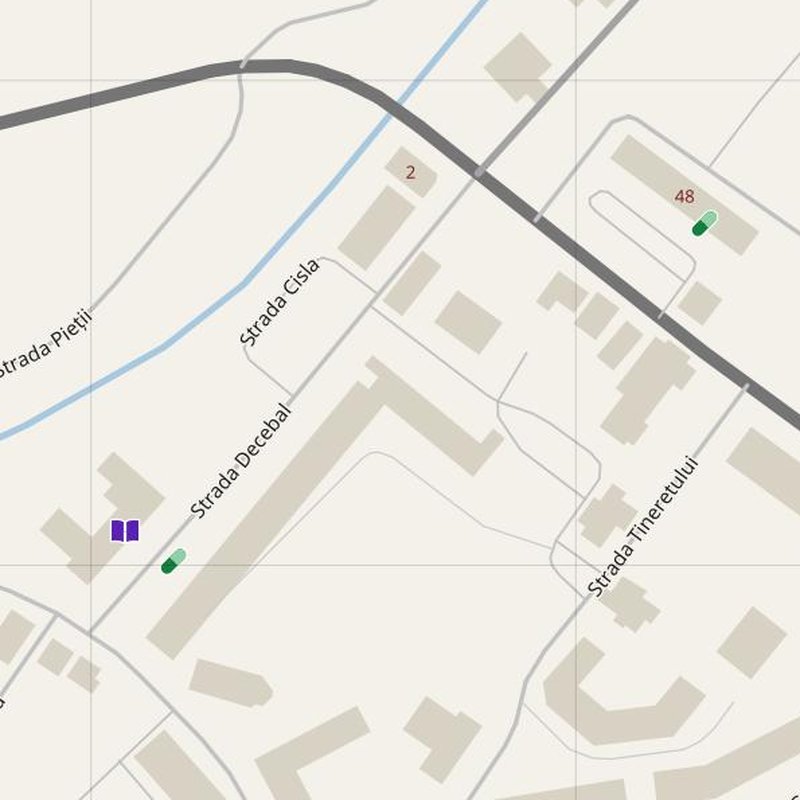 Borşa map with house numbers, hospitals, police and fire stations — printable PDF, Romania