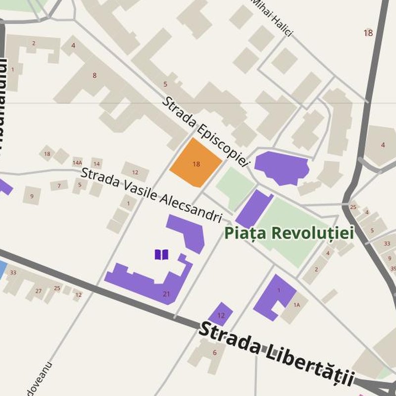 Caransebeş map with house numbers, hospitals, police and fire stations — printable PDF, Romania