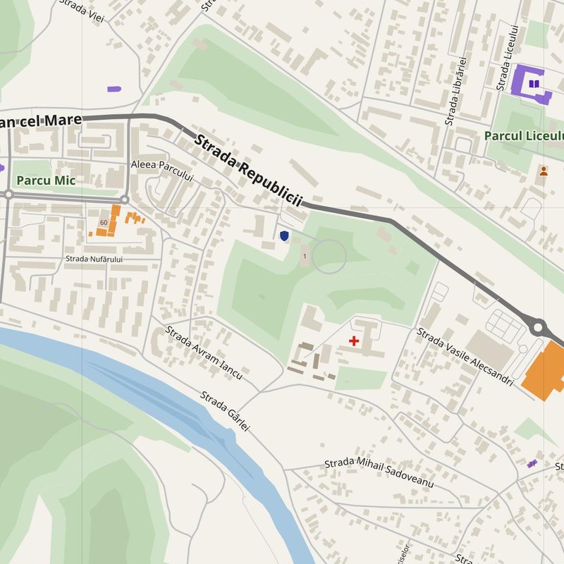 Comăneşti map with house numbers, hospitals, police and fire stations — printable PDF, Romania