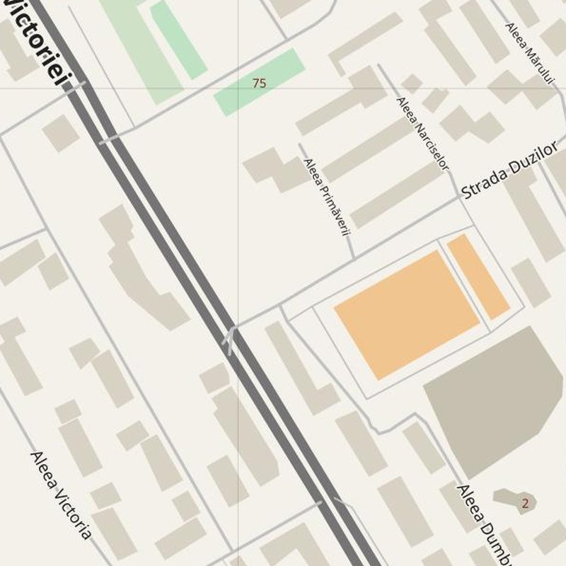 Dorohoi street map with house numbers — printable address map PDF, Romania