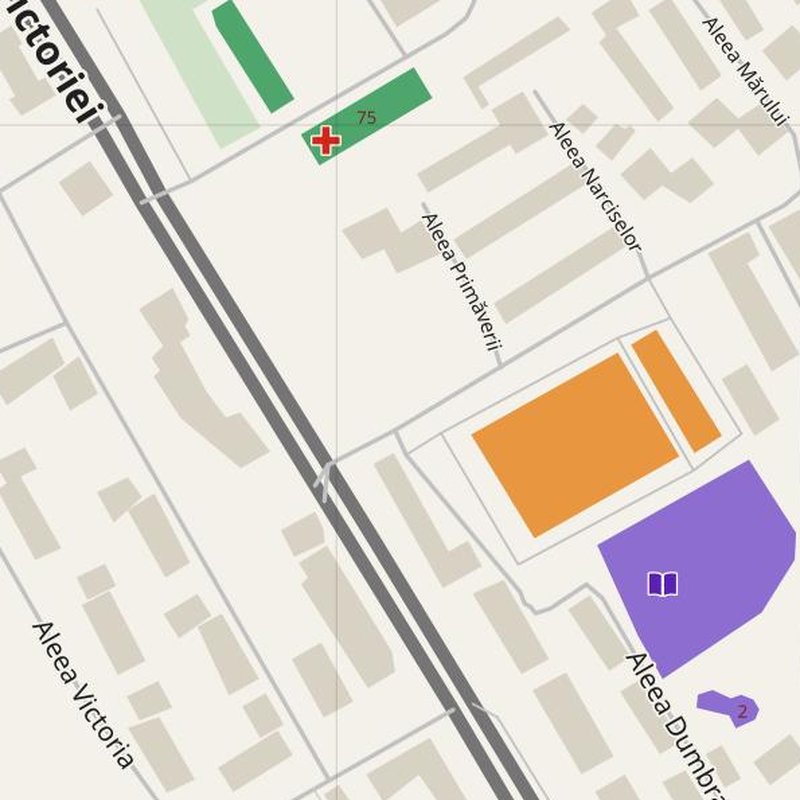 Dorohoi map with house numbers, hospitals, police and fire stations — printable PDF, Romania